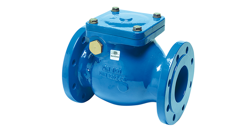 Clapet anti-retour à battant Série B6 51