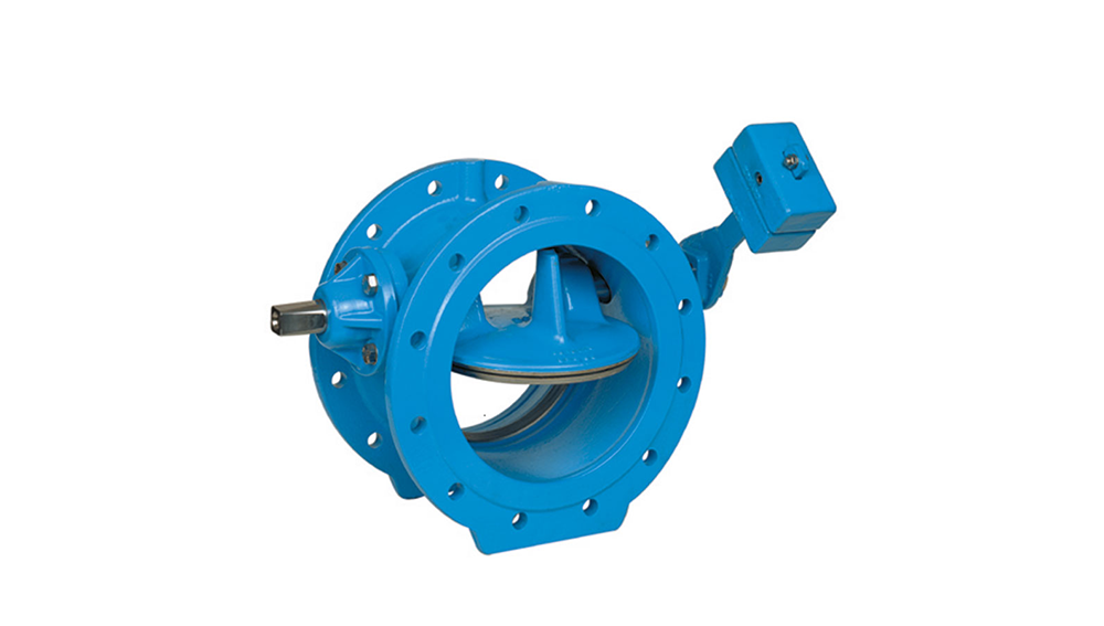 Clapet anti-retour à papillon B6 30