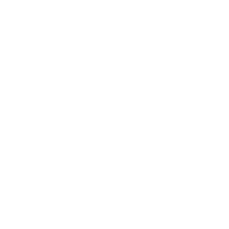 Distribution & services